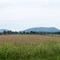 Farm on Reliance Road