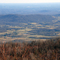 Virgina