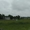 Farm near 257th