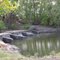 Dam in Gunn Park