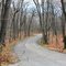 Horseshoe Road