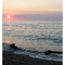 Sunny Waters