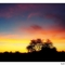 Watercolor Sunset