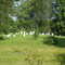 Cemetery
