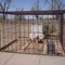 Billy the Kid's Grave