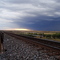 Fort Sumner Bridge