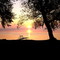 Sunrise at Maple Point