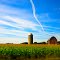 Farm near Beaver Dam