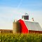 Farm with Two Silos