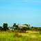 Farm near Fox Lake