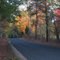 Old Curdsville Road