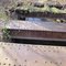 These heavy beams used to carry the railroad across a run (creek).