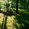 Cedar Creek Camping Area