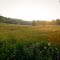 Smithton Trail Access Point - Grassy Field