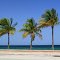 Barrier Island, Fort Lauderdale, Florida