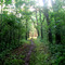 Pilot Knob State Park, Hancock Co.