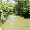 Root River