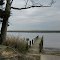 Mattaponi River, King and Queen County, VA.