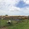 Irwin County School Bus lot