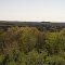 Mount Morris