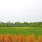 Rural Etowah County