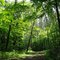 Kettle Moraine Forest North- Vilmer Trail