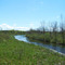 Bridge across the stream