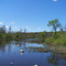 Mauthe Lake over flow