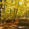 Kettle Moraine, Fall 2009