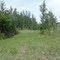 Ige Age Trail North of Mauthe Lake Recreation Area