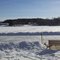 Ice rink