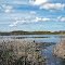 Spruce Lake Bog State Natural Area