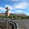 Intersection of E Main and NE 3rd , John Day