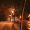 Winter in Thiensville