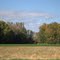 Little Menomonee Grove