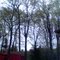 Backyard 2