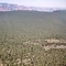 Kaibab Forest