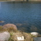 Goose Eggs at Springbrook State Park