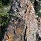 World's Oldest Rock