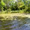 Buck's Cove