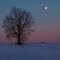Once in a Blue Moon