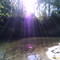 Cedar River (Gladwin) 1