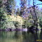Cedar River (Gladwin) 2