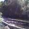 Cedar River (Gladwin) 3