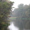 Misty Morning Eagle