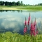 Purple Loosestrife