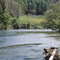 New River about 1 miles downstream of HWY 16/88