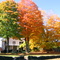 Fall Color In West Jefferson