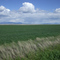 Young Wheat, The Highwoods, and Big Sky
