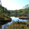 Sylvania Wilderness: Pond  NW of  Mountain Lake